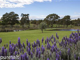 The Winery Door - Attractions 1