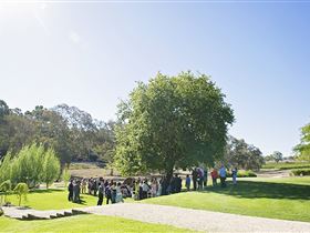 Howard Vineyard - Attractions 1