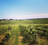 Adelaide Winemakers - Attractions