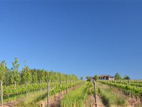 McLaren Vale III Associates - Attractions 3
