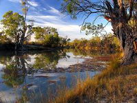 Murray River National Park