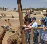 Monarto Open Range Zoo - Attractions