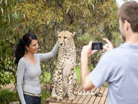 Monarto Open Range Zoo - Attractions 1