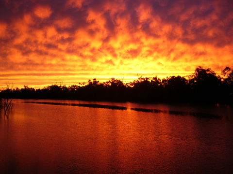 Warrego River Walk - Attractions 0