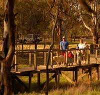 Loxton's Drives Walks and Trails - Attractions