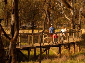Loxton's Drives, Walks And Trails - Attractions 0