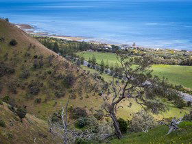 Lady Bay Beach - Attractions 1