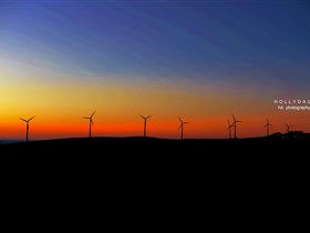 Starfish Hill Windfarm - Attractions 0