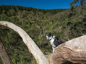 Ingalalla Waterfalls - Attractions 1