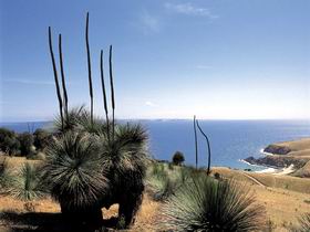 Deep Creek Conservation Park - Attractions 2