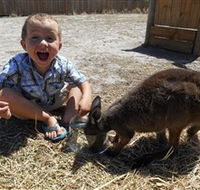 Animal Farm Goolwa - Attractions
