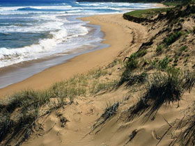 Newland Head Conservation Park - Attractions 0