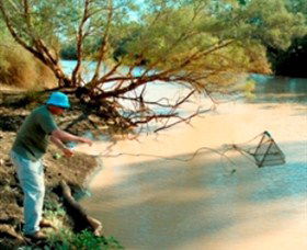 Charleville - Ward River Fishing Spot - Attractions 0