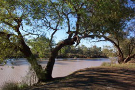 Charleville - Bakers Bend Warrego River Fishing Spot - Attractions 1