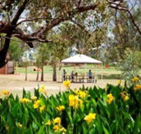 Charleville - Graham Andrews Parklands - Attractions