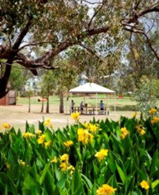 Charleville - Graham Andrews Parklands - Attractions 0