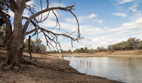 Toorale National Park - Attractions 0