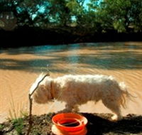 Charleville - 27 Mile Warrego River Fishing Spot - Attractions