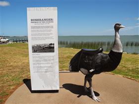Birdman Of The Coorong - Attractions 0