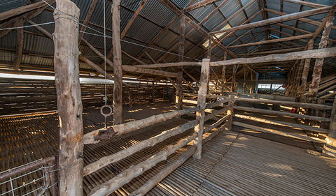 Mungo Woolshed - Attractions 2
