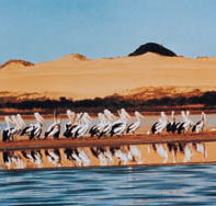 Coorong National Park - Attractions