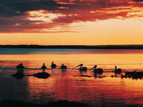 Coorong National Park - Attractions 1