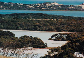 Coorong National Park - Attractions 2