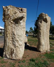 Fossilised Forrest Sculptures - Attractions 0