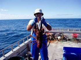Lacepede Seafood - Attractions 2