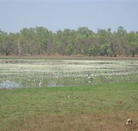 Leaning Tree Lagoon Nature Park - Attractions