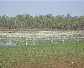 Leaning Tree Lagoon Nature Park - See Attractions 0