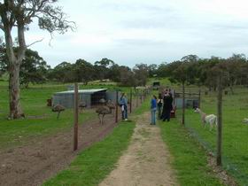 Avenue Range ACT Attractions