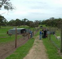 Avenue Emus - Attractions