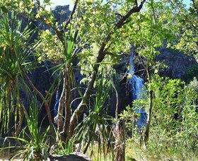 Manngarre Rainforest Walk - Attractions 1