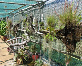 George Brown Darwin Botanic Gardens - Attractions 5
