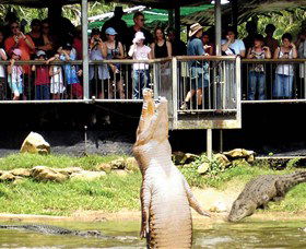 Knuckey Lagoon NT Attractions