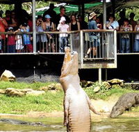 Crocodylus Park - Attractions