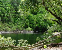 Broadwater Abergowrie State Forest