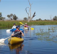 Marsh Meanders - Attractions