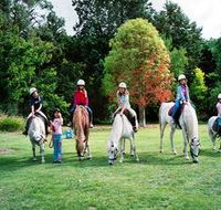 Limestone Coast Horseriding - Attractions