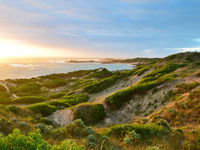 Beachport Conservation Park
