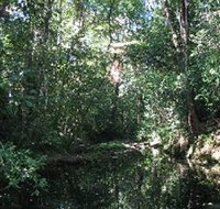 Wabunga Wayemba Charmillan Creek walking track - Attractions