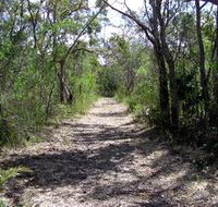 Lanky's Walk - Attractions