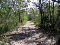 Lanky's Walk