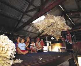 Shear Outback The Australian Shearers Hall Of Fame - Attractions Las Vegas 0