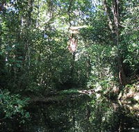 Misty Mountains Wilderness Walking Tracks - Attractions