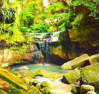 Carnarvon Gorge Carnarvon National Park - Attractions