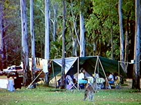 Carnarvon Gorge, Carnarvon National Park - Attractions 2