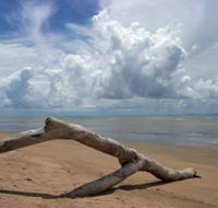 Toolakea Beach - Attractions