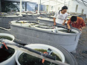 James Cook University of North Queensland Townsville